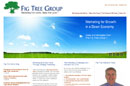 Fig Tree Group Web site